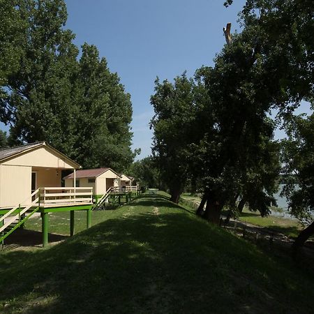 Hotel Bungalow Park à Szentendre Extérieur photo