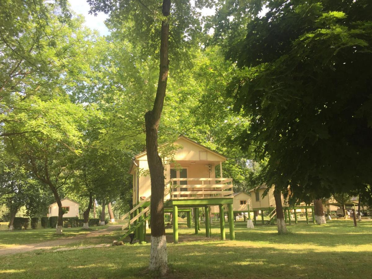 Hotel Bungalow Park à Szentendre Extérieur photo