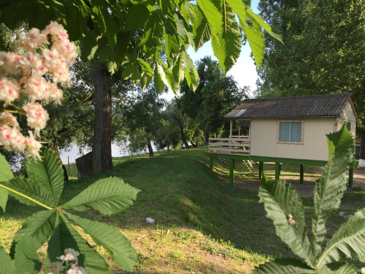 Hotel Bungalow Park à Szentendre Extérieur photo
